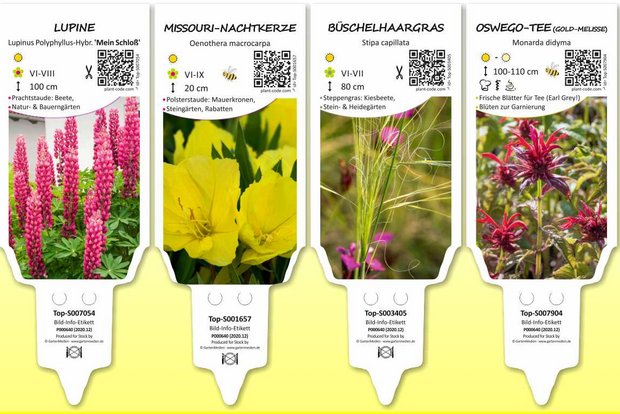 Sample labels Top-S (perennials, grasses, herbs)