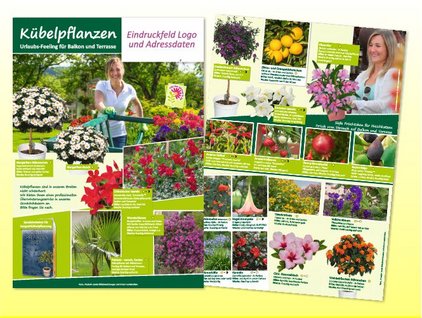 Beilage: "Kübelpflanzen für Balkon und Terrasse"