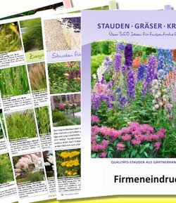 28 Seiten Stauden-, Gräser, - Kräuterbroschüre