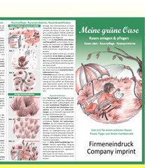 Lawn sowing and care (6 pages)