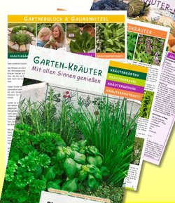 8 pages herbs brochure