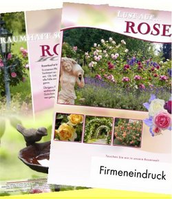 16 pages roses brochure