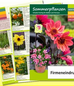 8 pages summer plants brochure