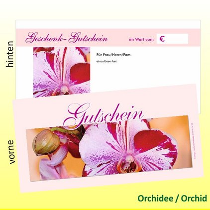 Motive Orchid